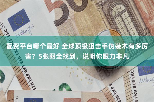 配资平台哪个最好 全球顶级狙击手伪装术有多厉害？5张图全找到，说明你眼力非凡