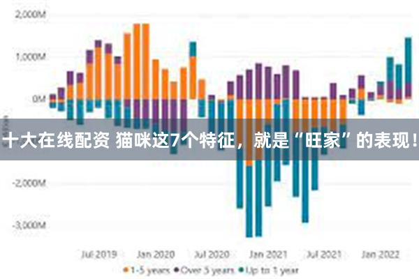 十大在线配资 猫咪这7个特征，就是“旺家”的表现！