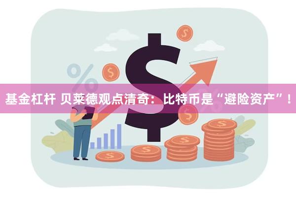 基金杠杆 贝莱德观点清奇：比特币是“避险资产”！