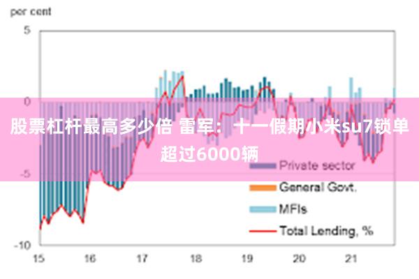 股票杠杆最高多少倍 雷军：十一假期小米su7锁单超过6000辆